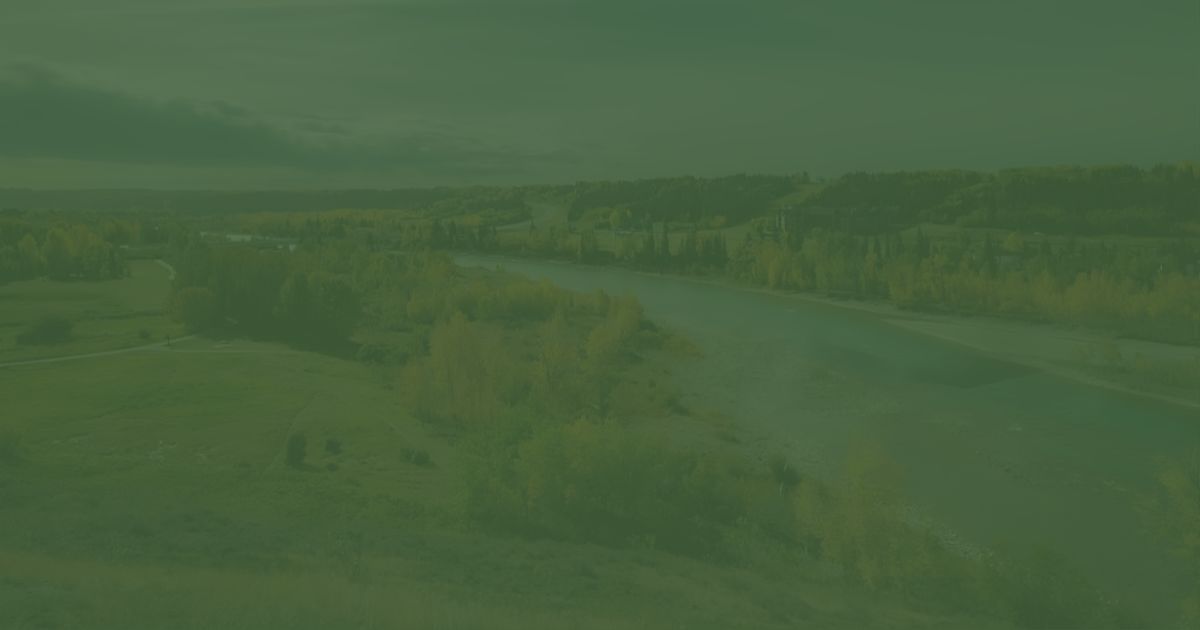 Wisdom Teeth Removal: What to Expect Before, During & After